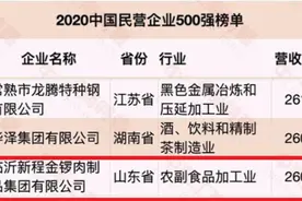 金锣集团实力上榜2020中国民营企业500强图片