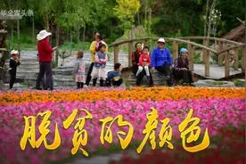 脱贫的颜色图片