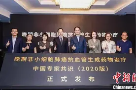 专家共识：抗血管生成药物联合免疫方案成为晚期非小细胞肺癌一线治疗选择图片