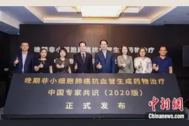 专家共识：抗血管生成药物联合免疫方案成为晚期非小细胞肺癌一线治疗选择图片