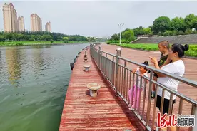 河北衡水：为民利民惠民 让创城更接地气更有温度图片