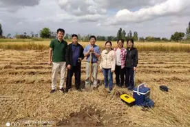 南京农大教授解决农村秸秆焚烧难题，把秸秆炭化做成复合肥 为土地设计“营养品”图片