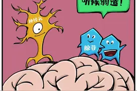 熬夜后为啥睡得更“香”？咖啡为什么能提神？图片