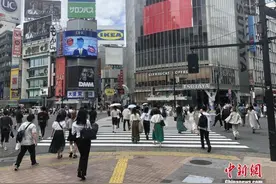 乘飞机赏夕阳？日本航空公司策划“游览飞行”服务图片