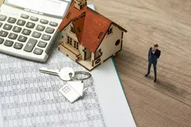 红太阳走出崩溃边缘？批量资产股权生变 杨寿海提千亿市值愿景图片