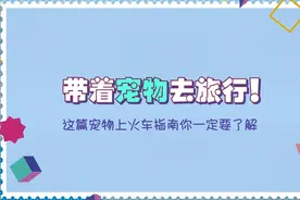 带着宠物去旅行！这篇宠物上火车指南你一定要了解视频封面