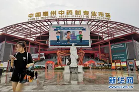「中部崛起势正劲·安徽篇」安徽亳州全力打造“世界中医药之都”图片