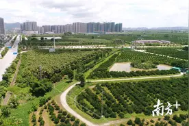 总价超12亿！江门9月土拍升温，5宗商住靓地开拍图片