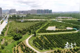 总价超12亿！江门9月土拍升温，5宗商住靓地开拍图片