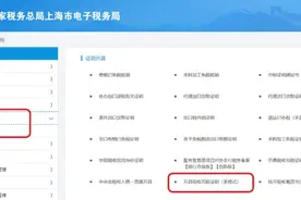 雨天不出门！企业完税证明网上打印全攻略来啦图片
