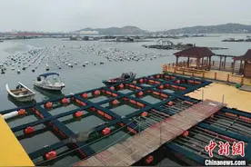 闽南海上孤岛搭“天梯”变身“幸福岛”图片