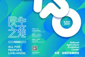 2020北京设计博览会图片