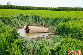江苏射阳一油脂厂管道接口破裂蒸汽外泄 罐体飞落稻田图片