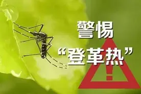 警惕登革热！南宁市疾控中心发布提醒：做好个人防护，防蚊灭蚊图片