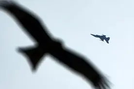 巴基斯坦空军一架飞机坠毁 飞行员跳伞逃生图片