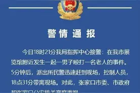 “花臂男”自称黑社会，当街殴打79岁老人……最新进展来了图片