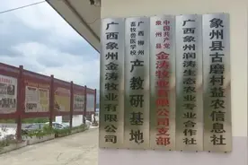 这个老总2年不进养猪场 公司经营反而越做越红火图片