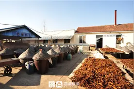 「美食」岔道口小篓八宝咸菜图片