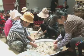 云南昌宁：发展鸡枞产业助农增收视频封面