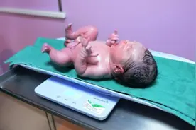 荆门首例“试管婴儿”诞生图片