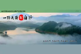 白沙召开2020年度贫困人口脱贫退出、清退户及两类监测对象解除风险工作复审会议图片