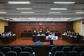 崇左中院首例走私珍贵动物制品刑事附带民事公益诉讼案件开庭审理【崇法2020-220期】图片