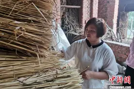 山东新泰小麦秸变身工艺扇 为近万人摇出“致富风”图片