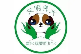 一户一犬篇 ｜文明养犬，从你我做起！图片