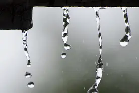 周到晨报 |“秋老虎”不“虎”了！魔都周六降至18℃；国庆花样游！18条郊野游线路任你pick；影院上座率上限将提至75%图片