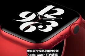 苹果推出四款新品，苹果全家桶出炉，iphone12缺席图片