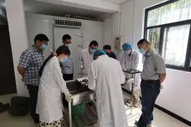 郑州网红天鹅妈妈去世，专家呼吁市民不要乱投喂图片