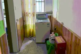 罕见！狡猾狐狸闯入幼儿园，撕咬乱窜，消防蜀黍围堵智斗成功捕获图片