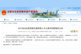 深夜重磅！合肥房产局发布最新公告图片