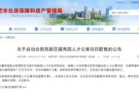 深夜重磅！合肥房产局发布最新公告图片