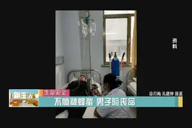 蜜蜂蛰一下男子险些送命图片