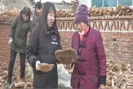小葵花盘变致富金饭碗，科技创新引领小康图片