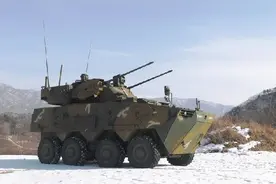 “拼接”出的“四不像”——韩国KW2轮式自行高炮系统图片