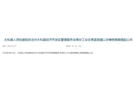 受贿罪！太和县经开区管委会原总工会主席孟丽娟被提起公诉图片