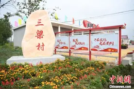 东北“种植村”蝶变：昔日“欠债人”今成“带头人”图片