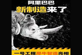 阿里“动物园”多了一名新成员，阿里“犀牛”诞生图片