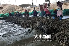 烟台海参“游”向深蓝⑥｜3万亩海洋牧场书写“傲海传奇”图片