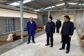 朱卫华督查调研灵芝乡各项重点工作图片