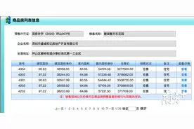 282万/套起，含装修！坪山一楼盘推377套住宅图片