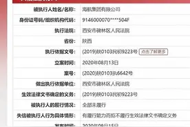 海航集团董事长陈峰被限制高消费，禁止乘坐飞机高铁图片