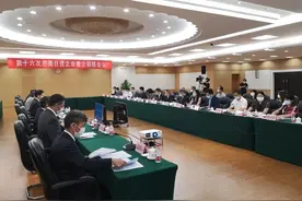 东莞副市长：欢迎日企抢抓“三区”机遇，做大做强产业链图片