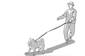 狗尾巴被车轧到，顺义一男子竟用狗绳打伤司机，判刑图片