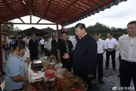 这件事，是习近平“一直以来的心愿”图片