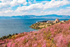 秋天去看抚仙湖图片