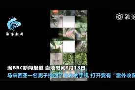 马来西亚一猴子偷手机后疯狂自拍，甚至录制了一段“吃播”视频图片