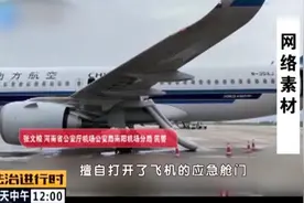 女大学生首次乘飞机 误开舱门被拘图片